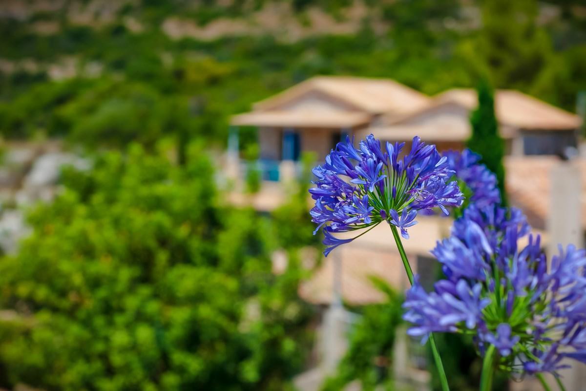 Ξενοδοχείο Νότος Aparthotel Καρδαμύλη Εξωτερικό φωτογραφία